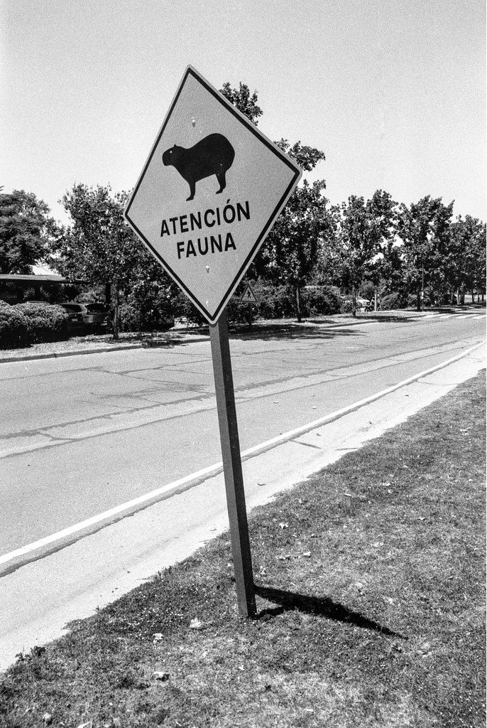 Cartel de "Atención fauna" por los carpinchos en una calle de Nordelta