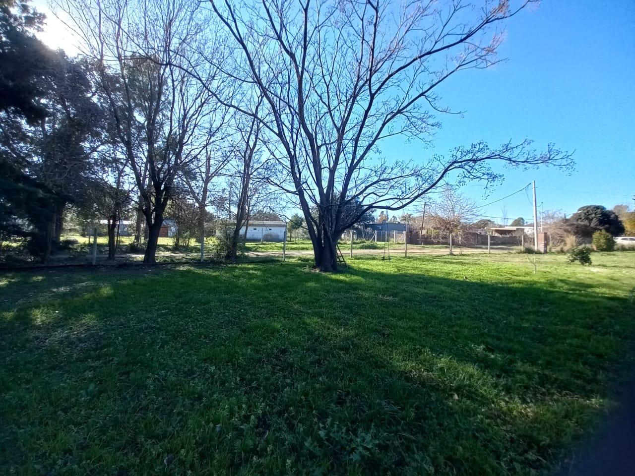 Foto 7