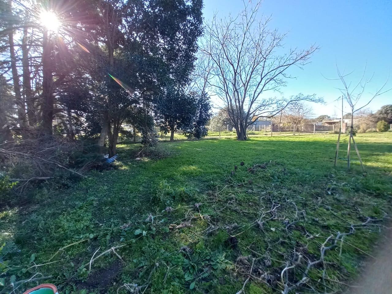 Foto 8