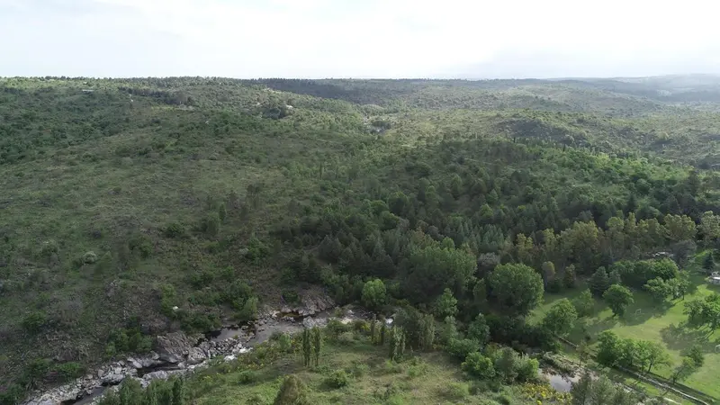 Foto 6