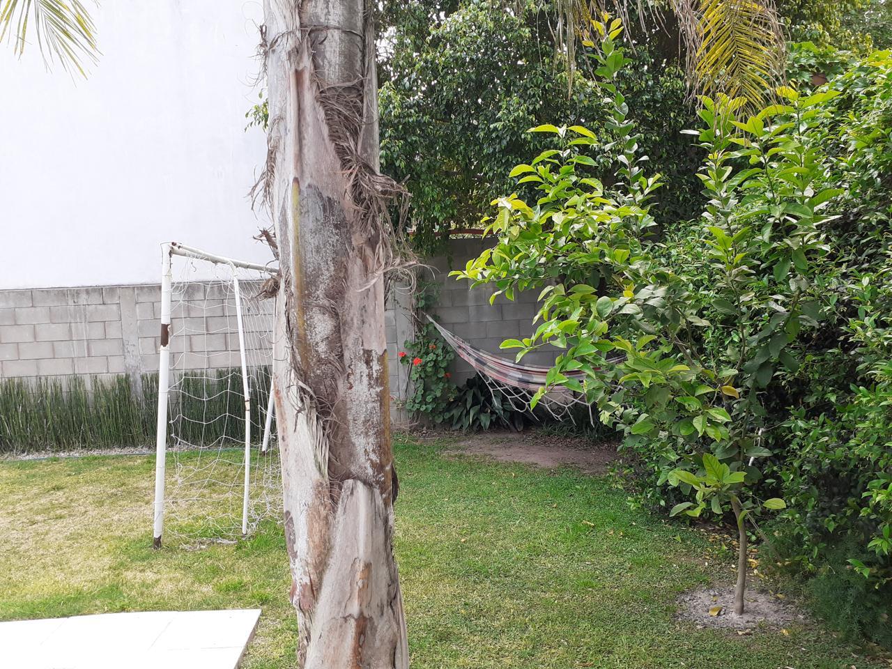 Foto 23