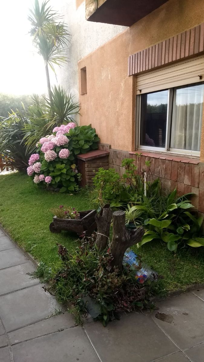 Foto 39