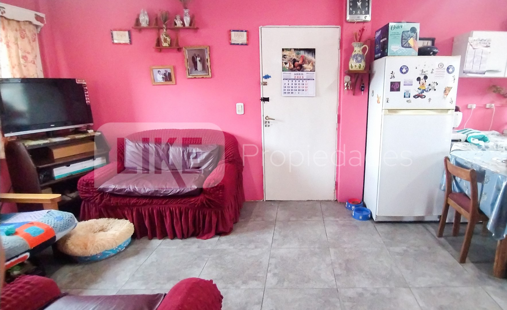 Foto 5