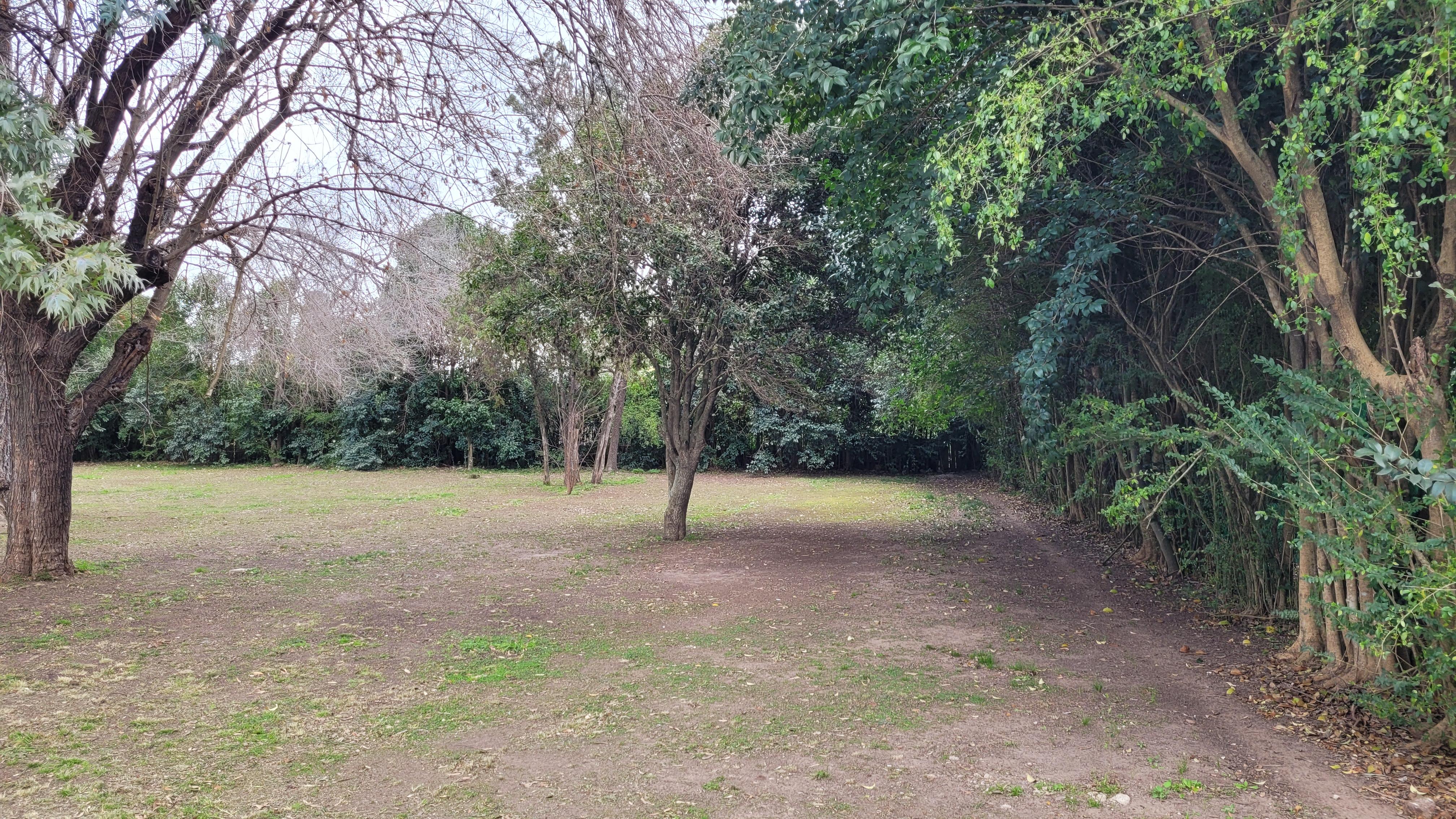 Foto 14