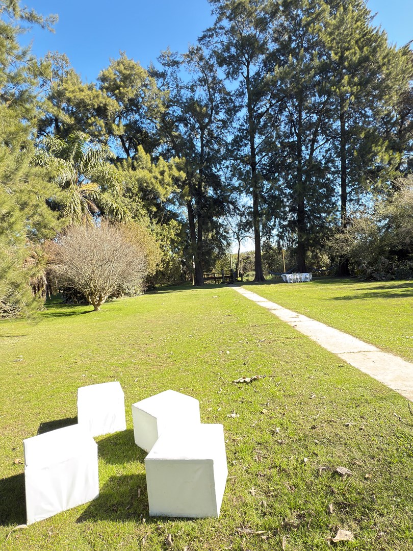 Foto 5