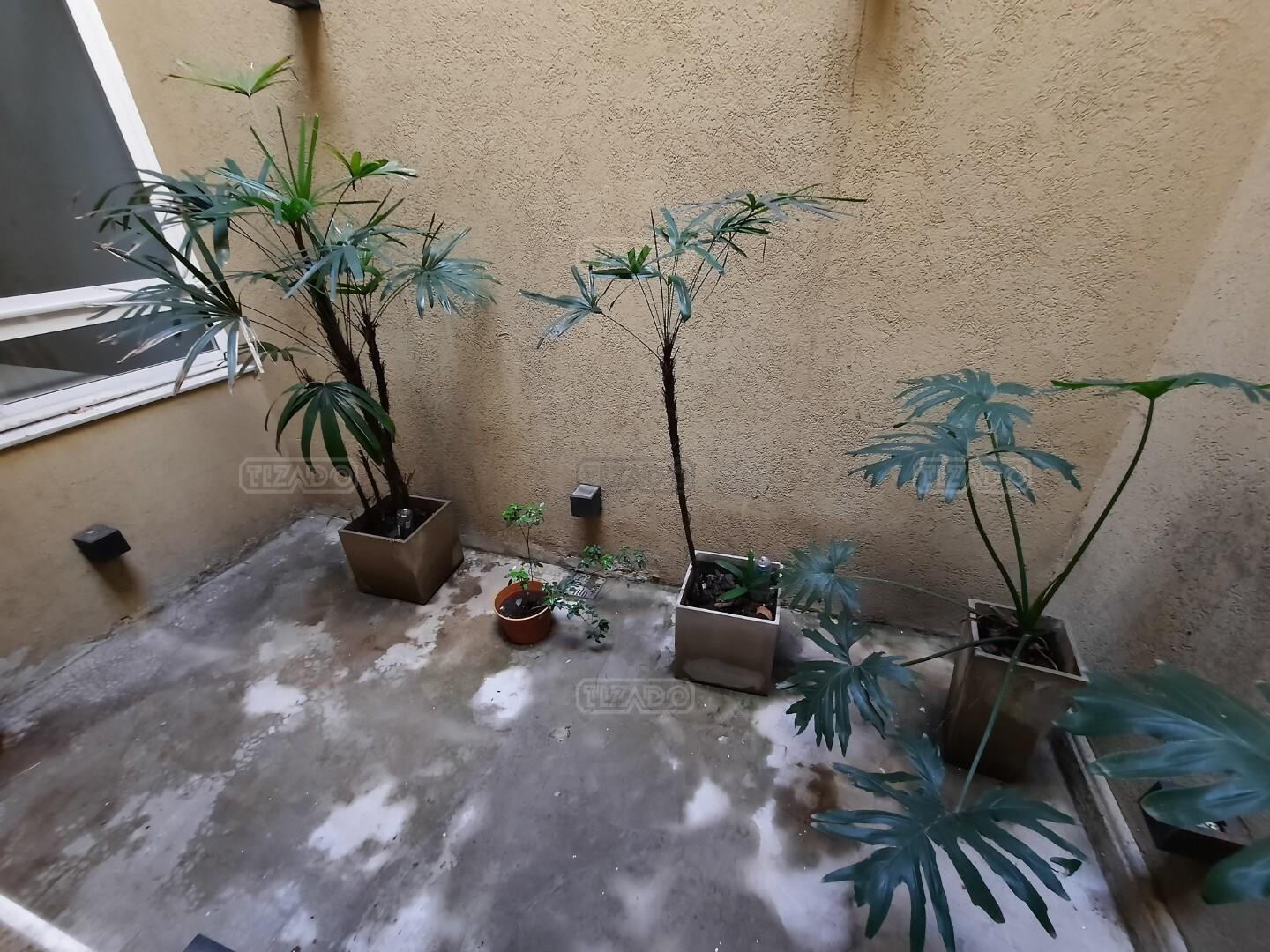 Foto 24