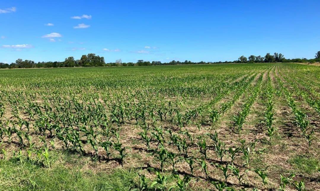Terreno en venta · Navarro, Navarro, Interior de Buenos Aires, Provincia de Buenos Aires