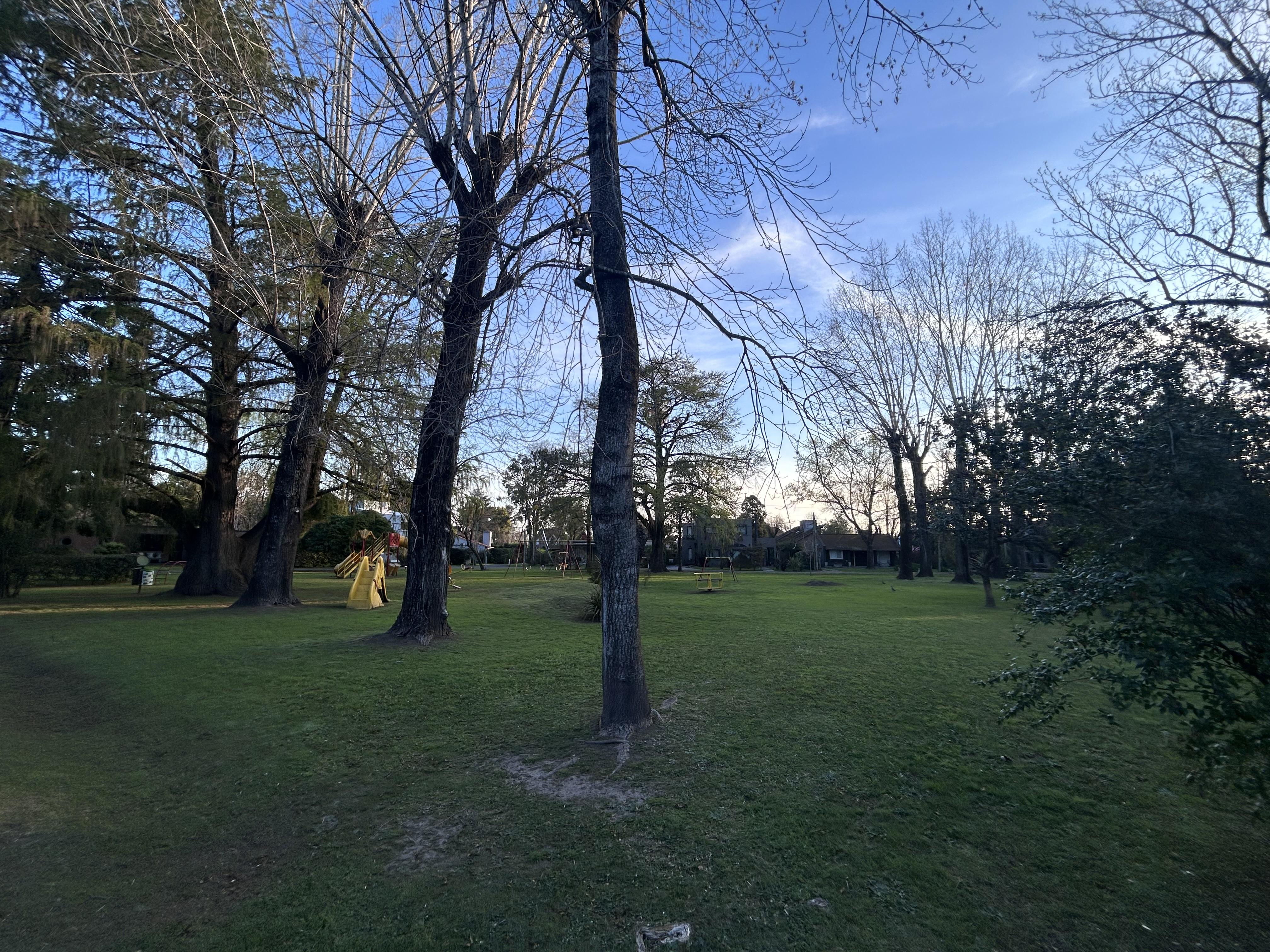 Foto 34