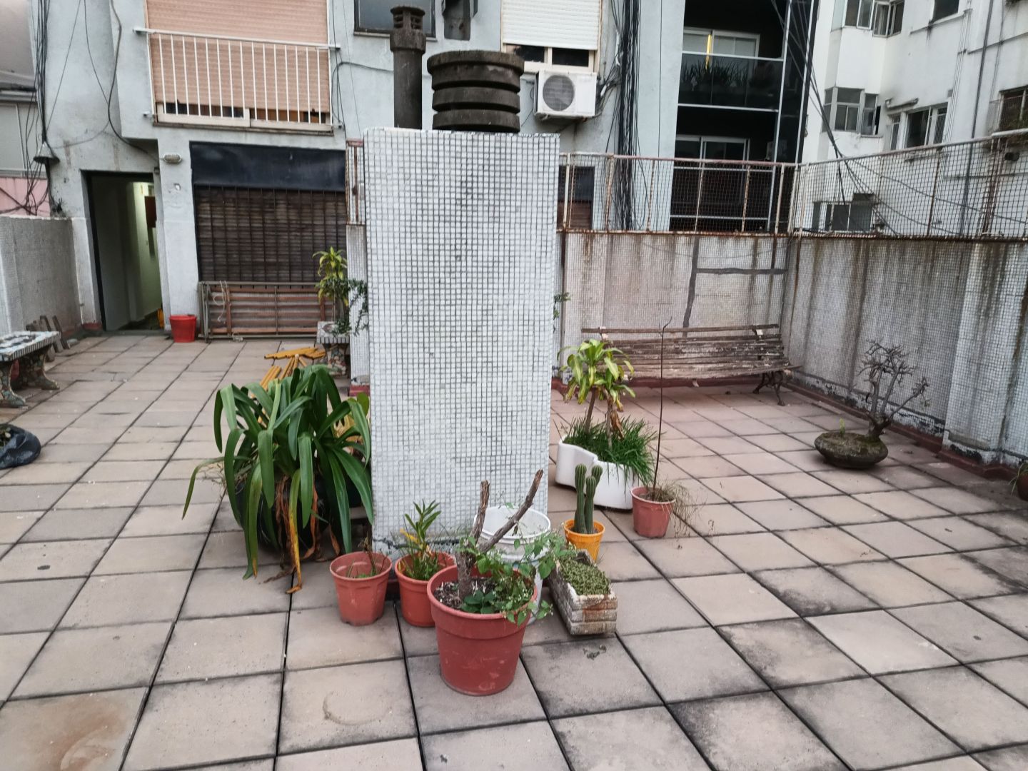 Foto 7