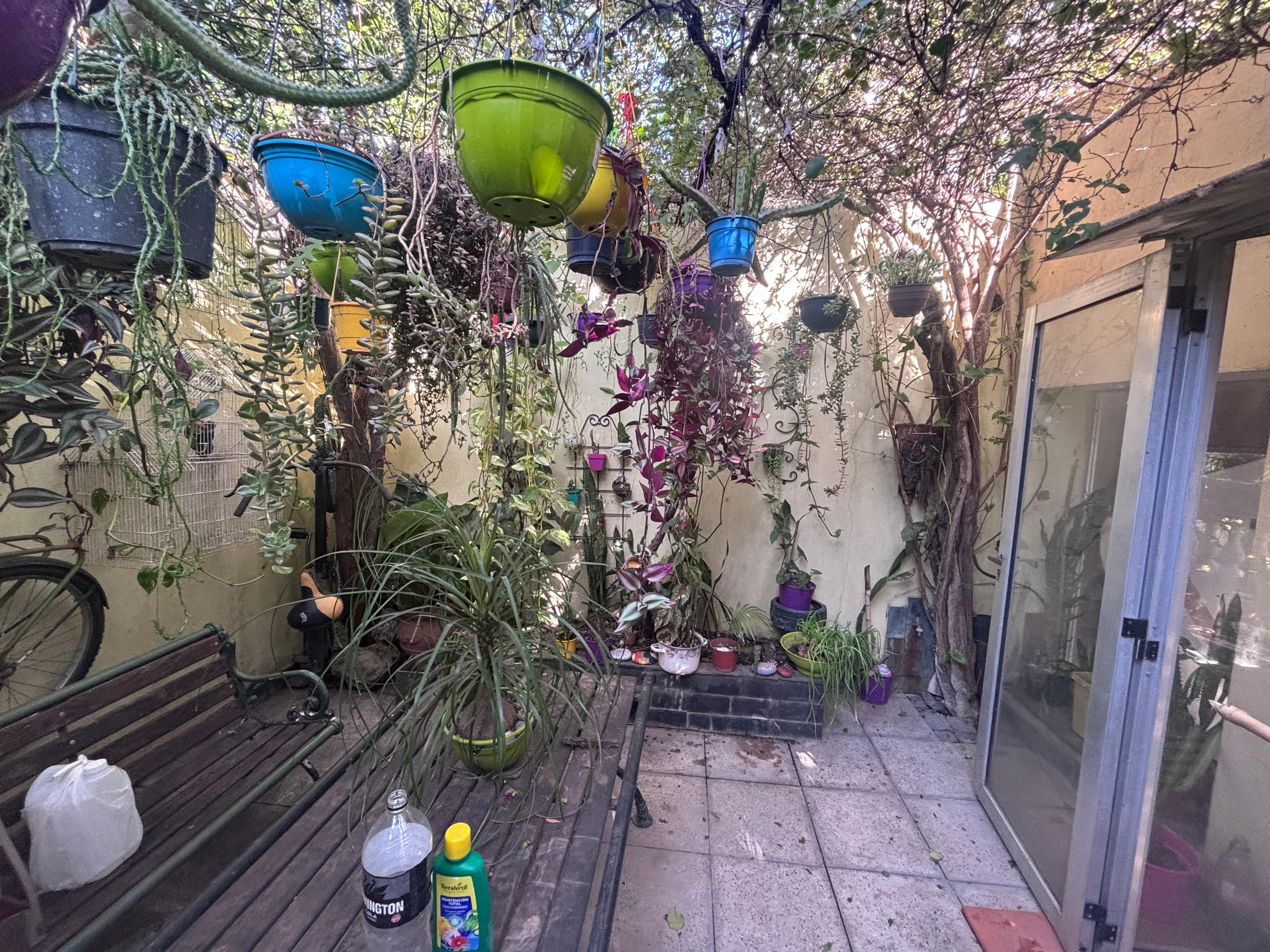 Foto 17