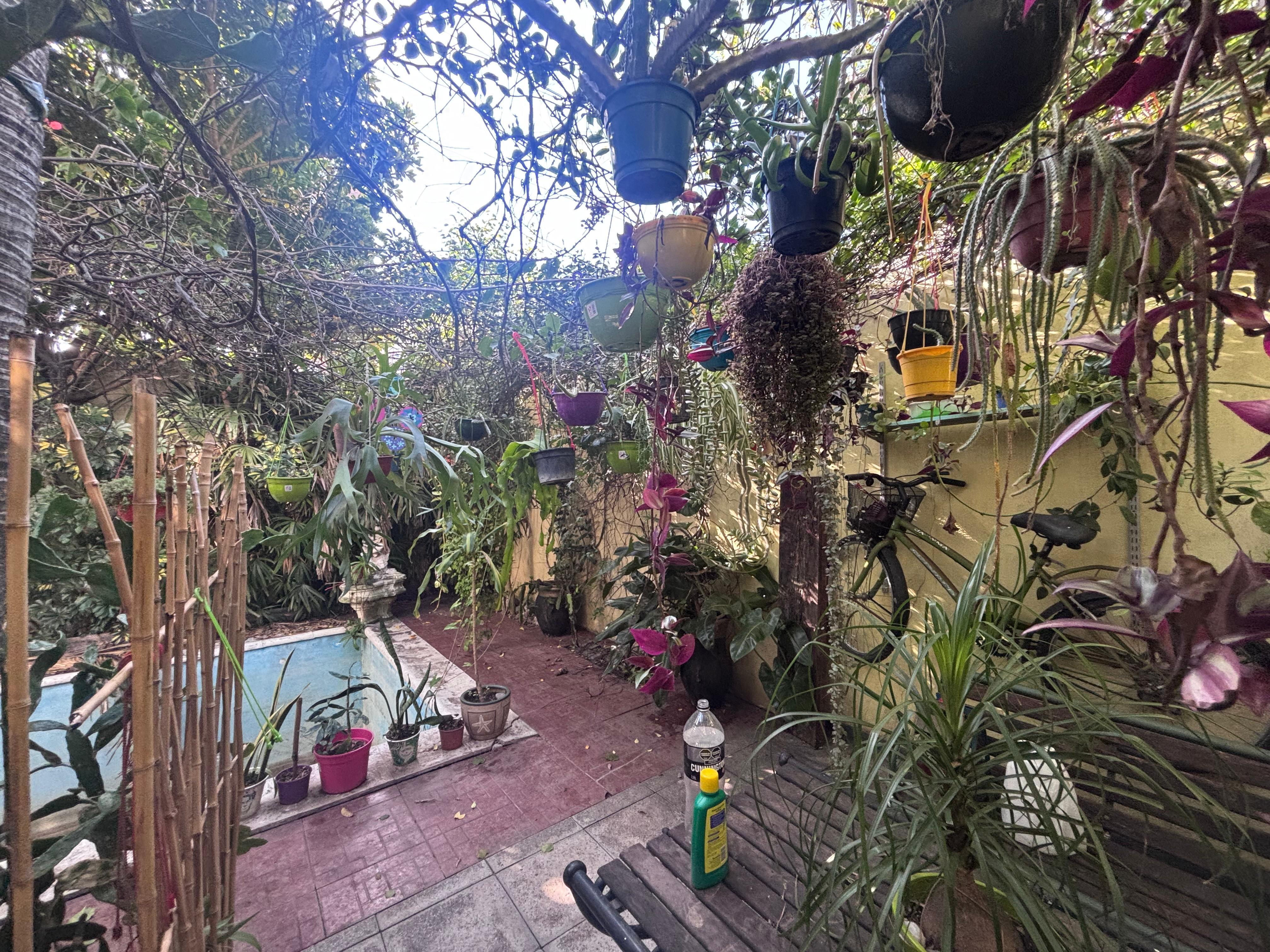 Foto 18