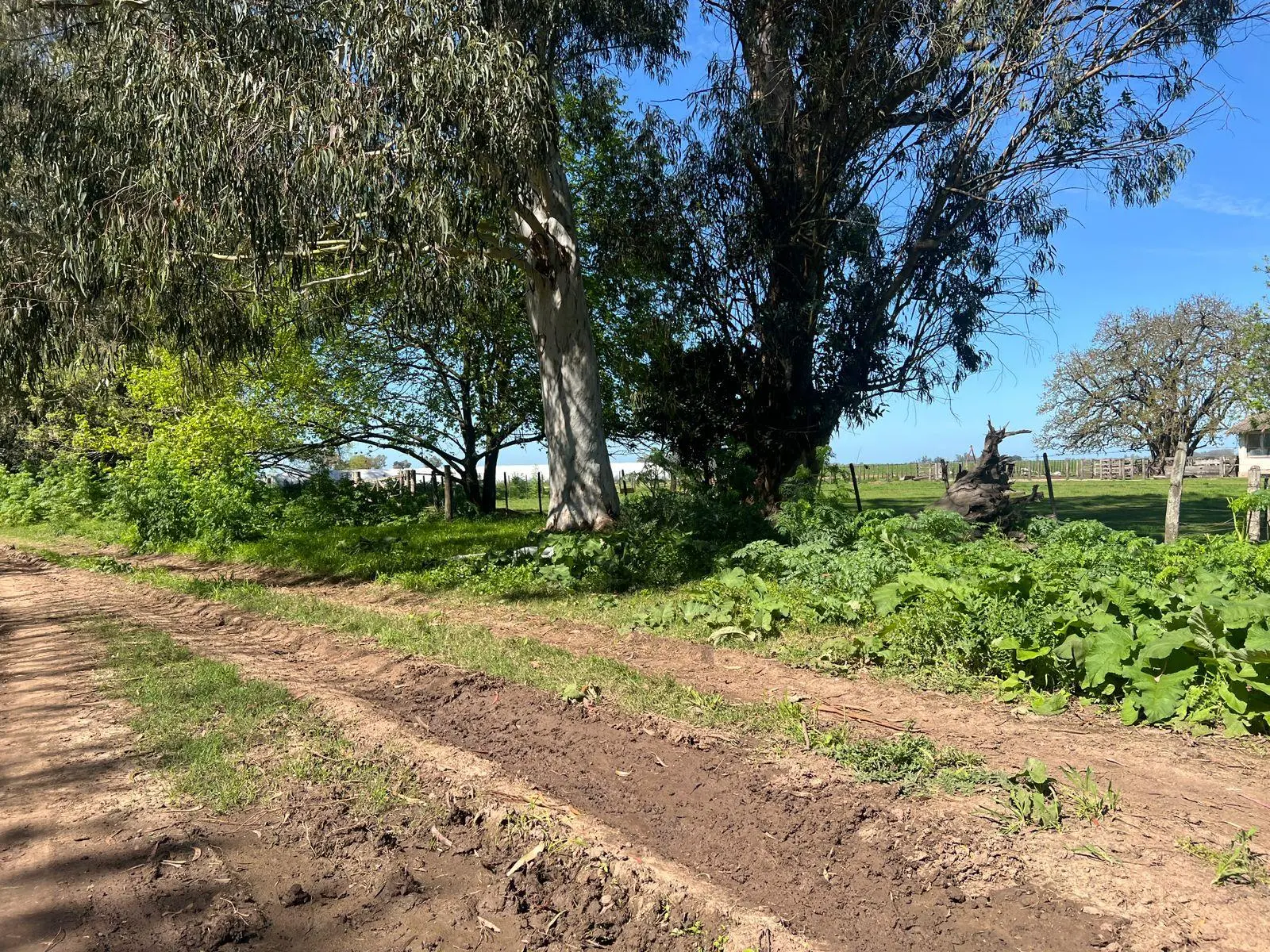 Foto 15