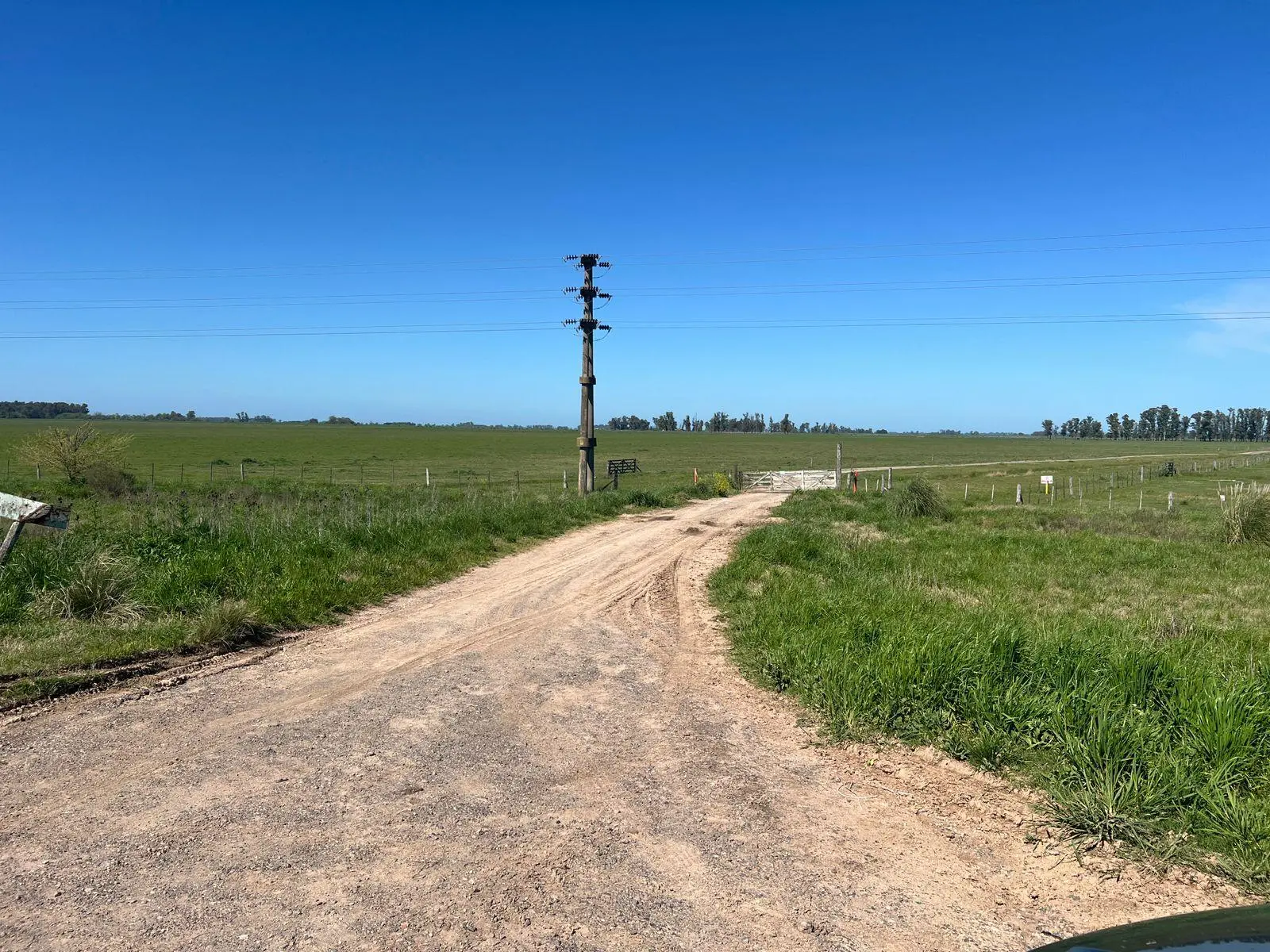 Foto 21