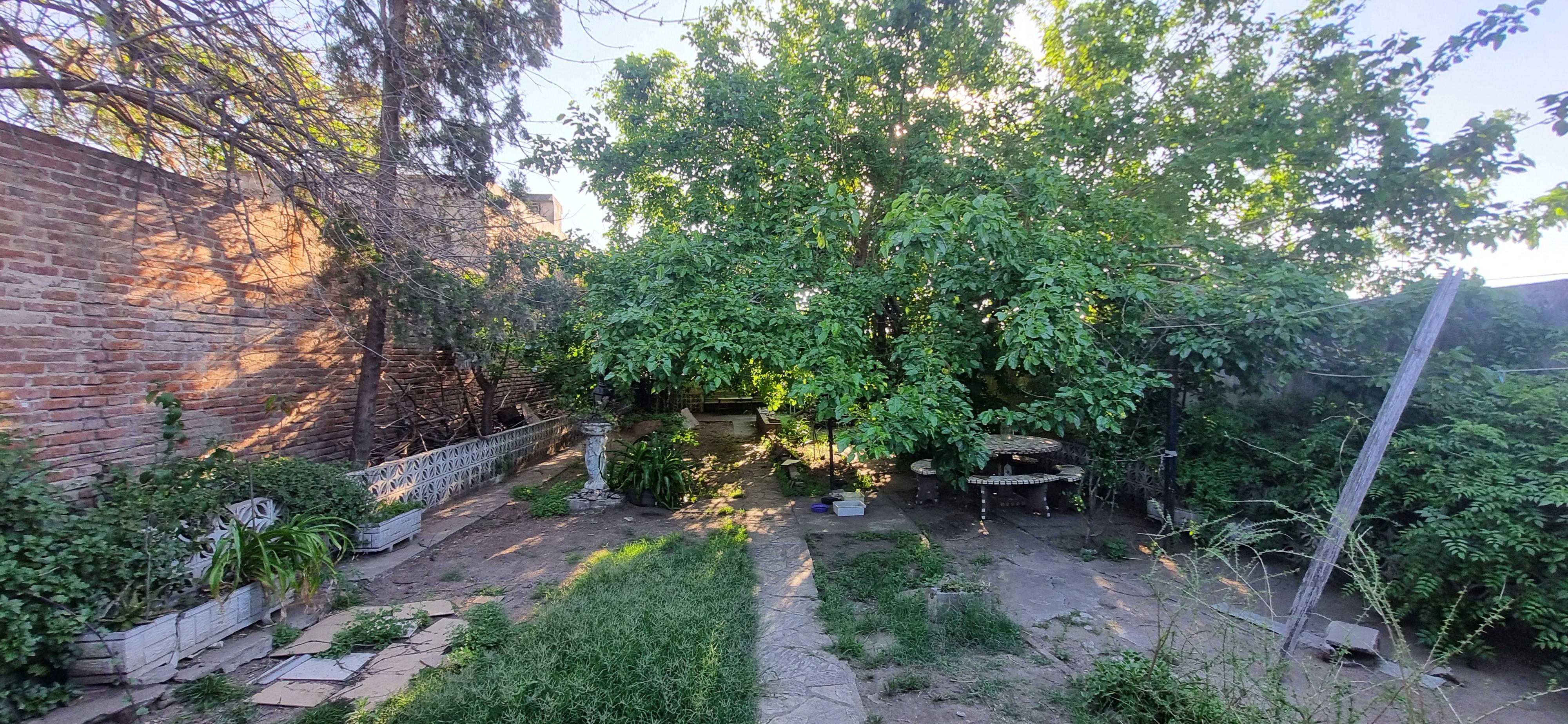 Foto 16