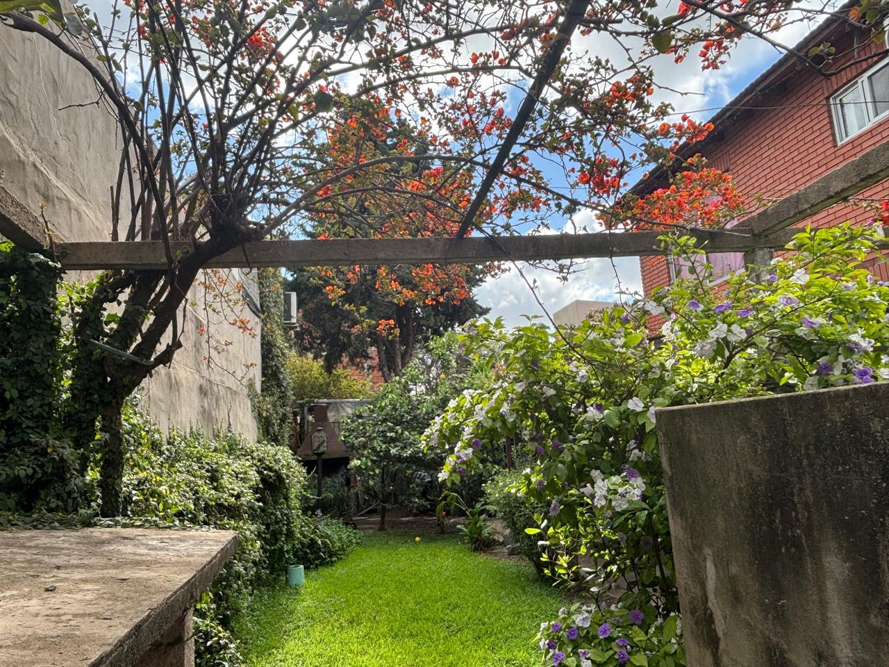 Foto 19