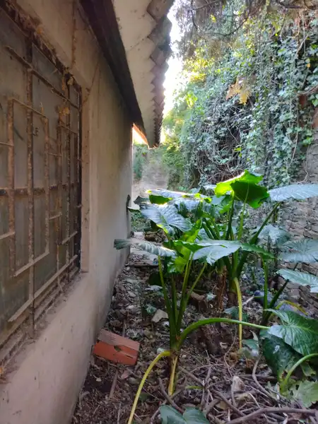 Foto 15
