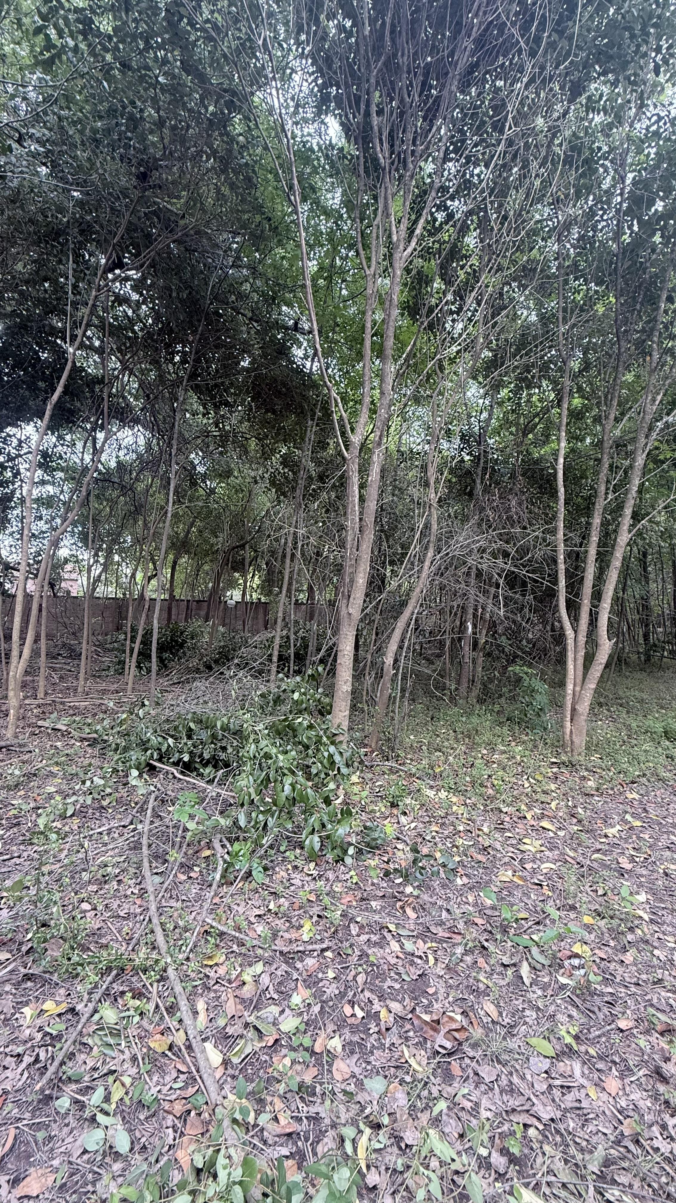 Terreno en venta · Ingeniero Maschwitz, Escobar, GBA Norte, Provincia de Buenos Aires