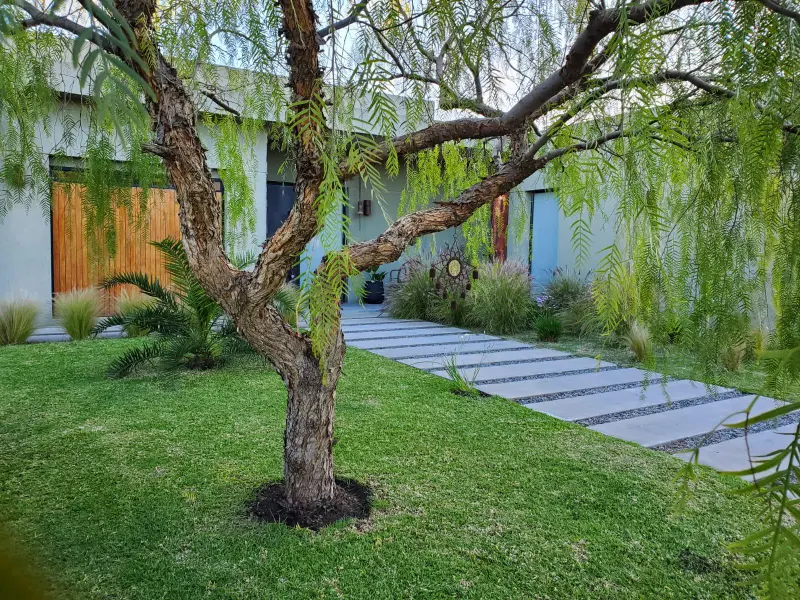 Foto 26
