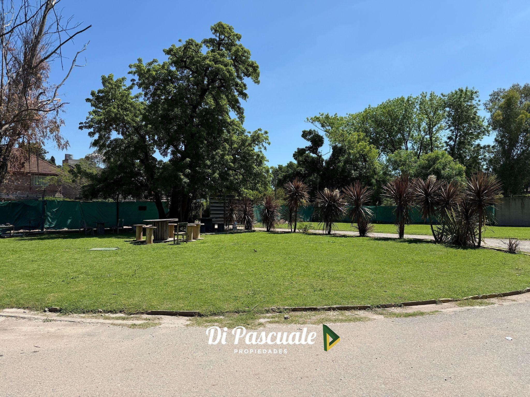 Foto 41