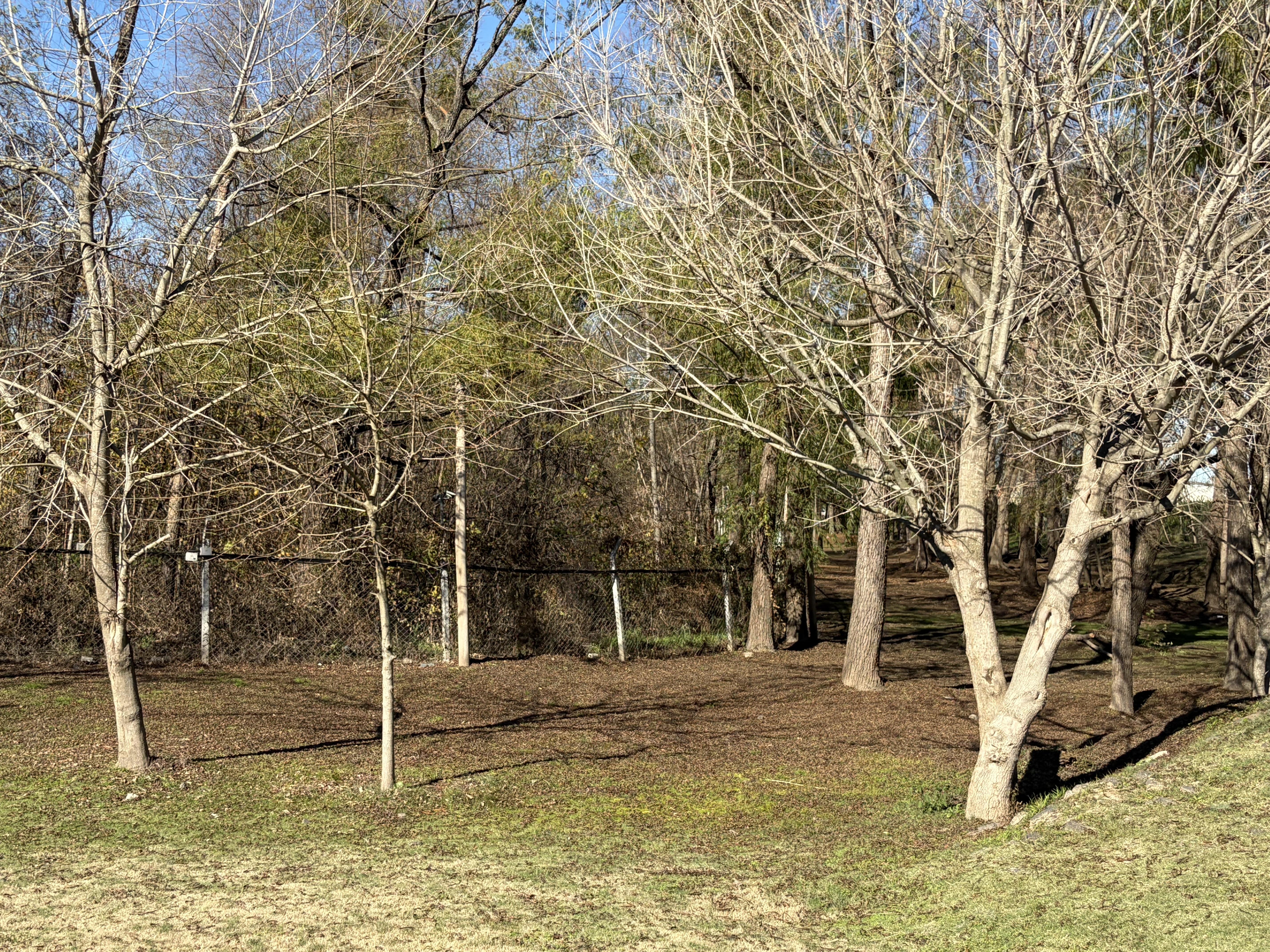 Foto 47