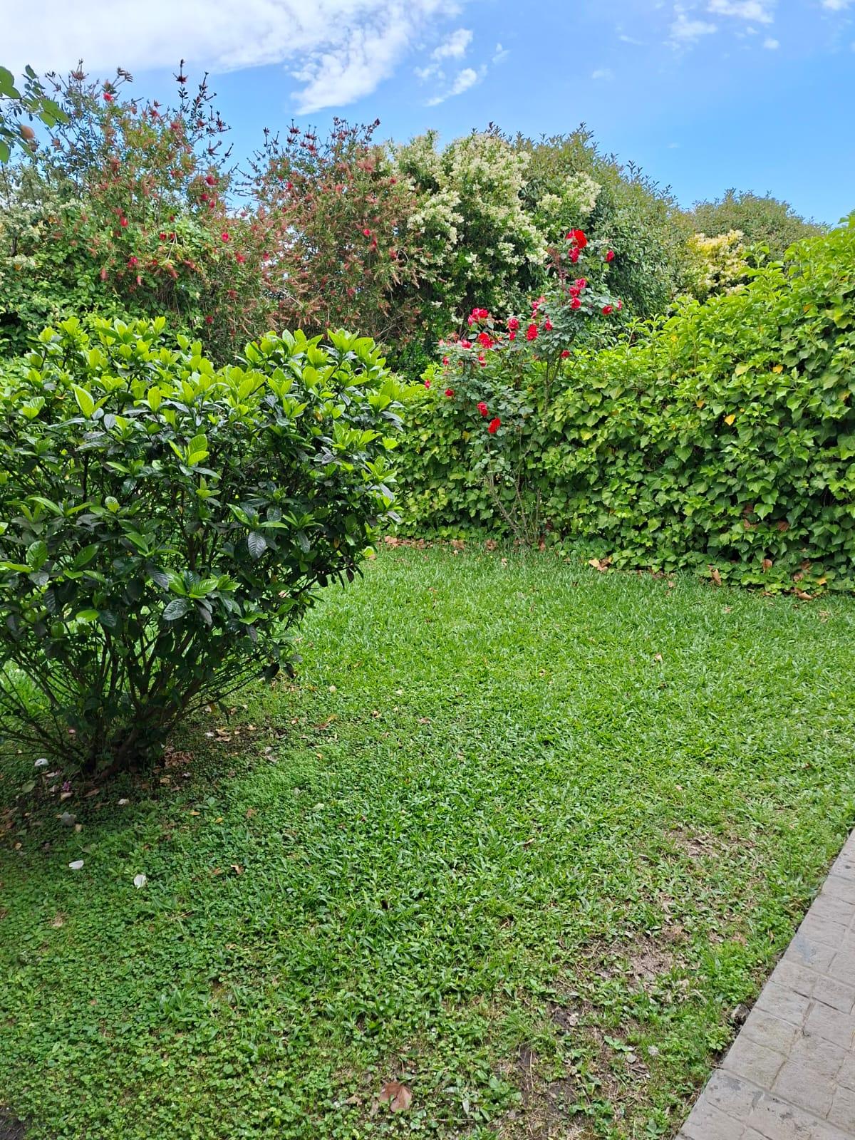 Foto 73