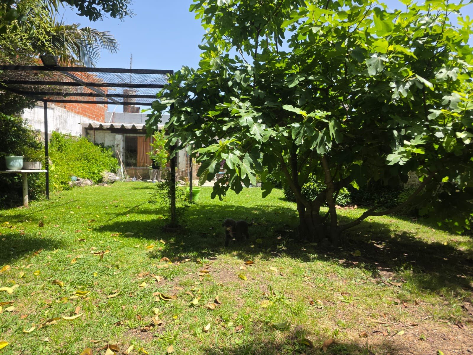 Foto 8