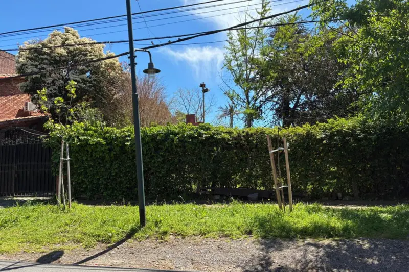 Foto 7