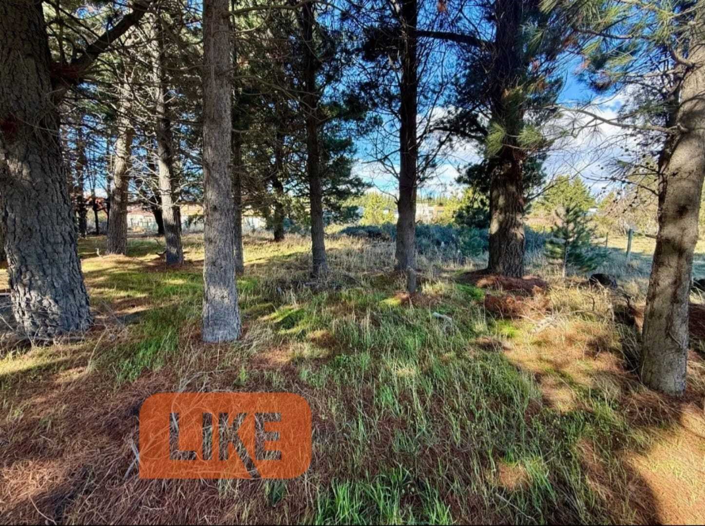 Terreno en venta · Bariloche, Río Negro
