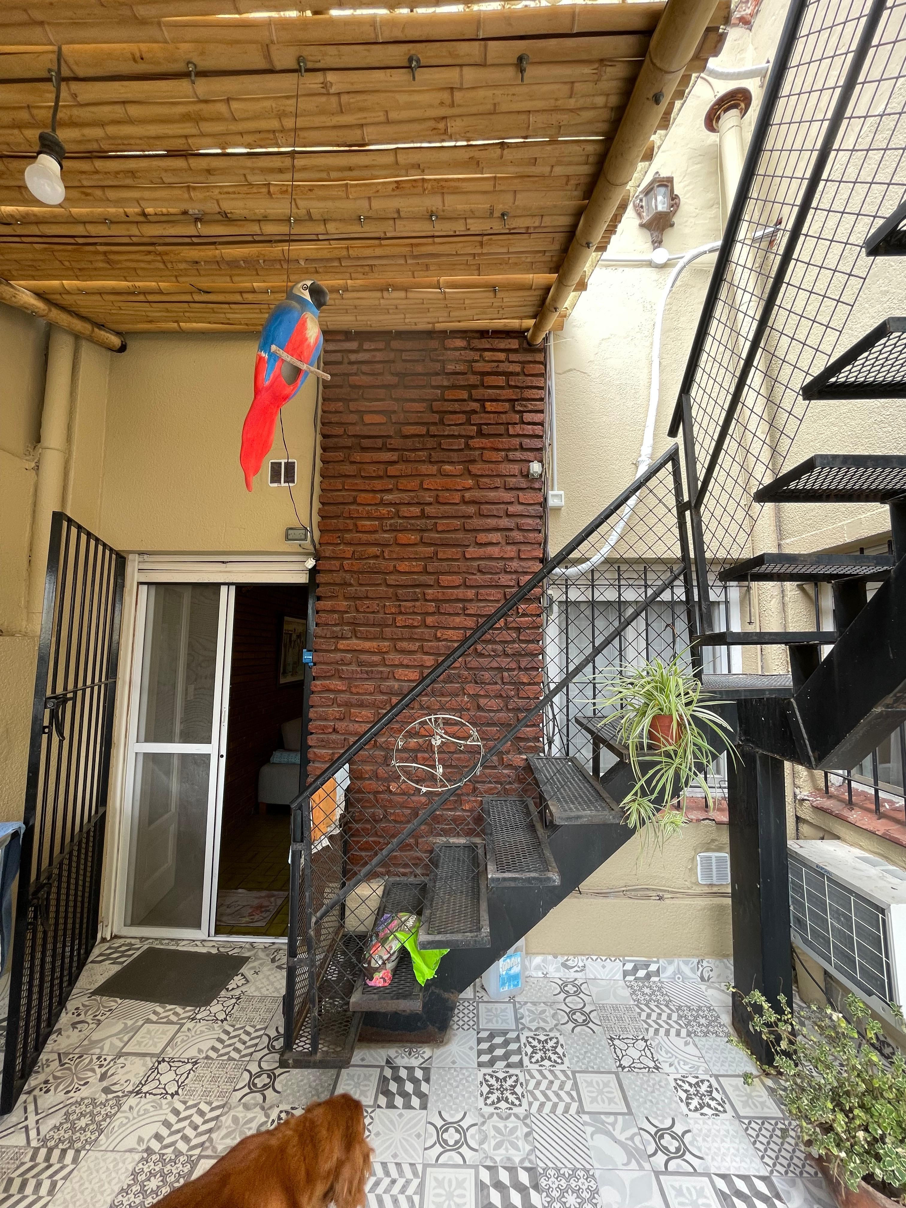 Foto 7