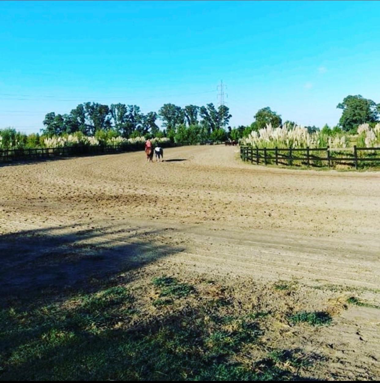 Foto 16