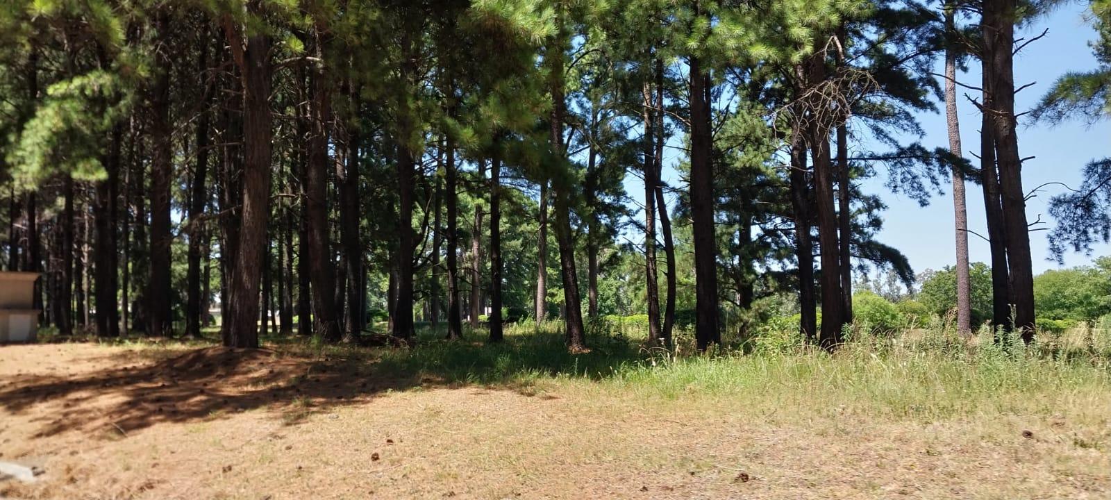 Foto 35