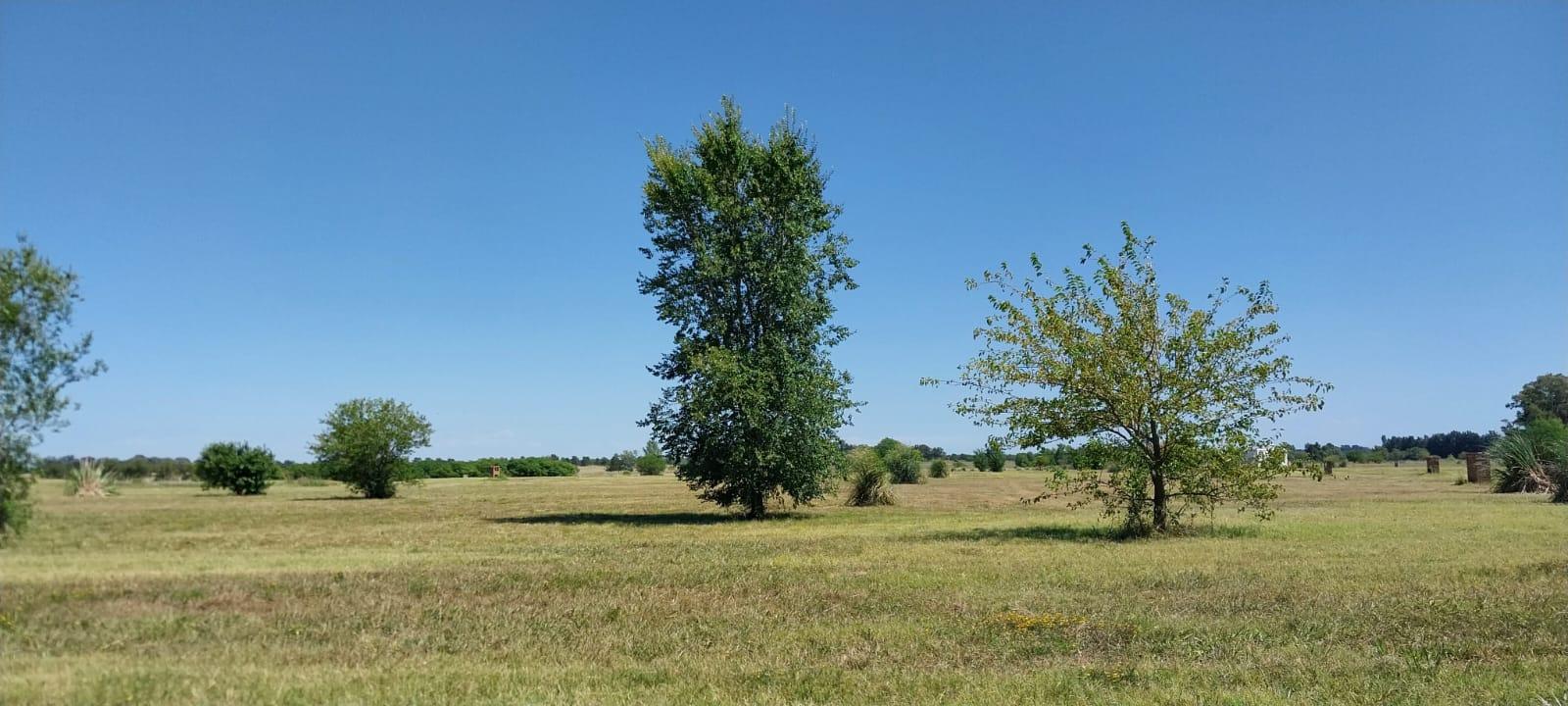 Foto 32