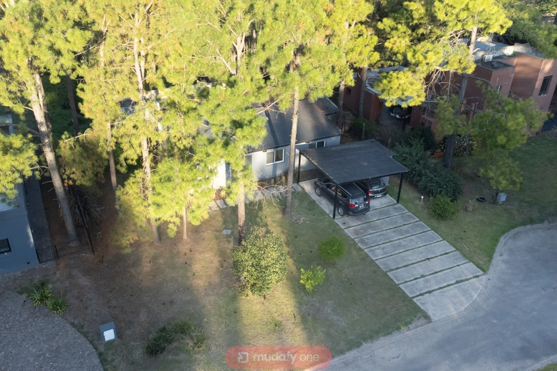 DJI_0310.jpg