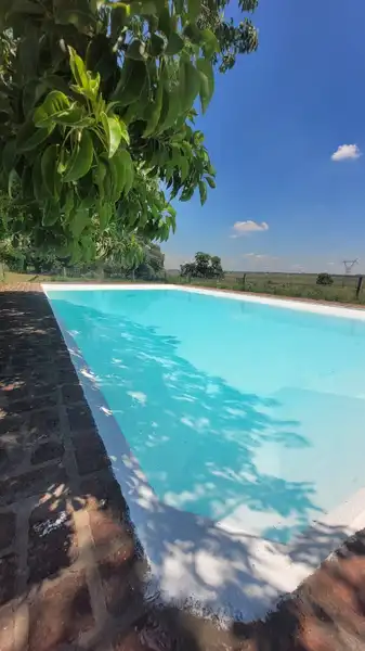 pileta 4.jpeg