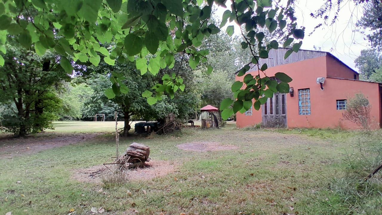 Foto 15