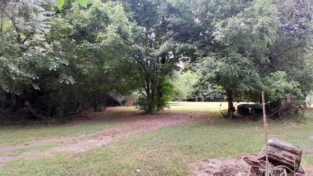 Foto 16