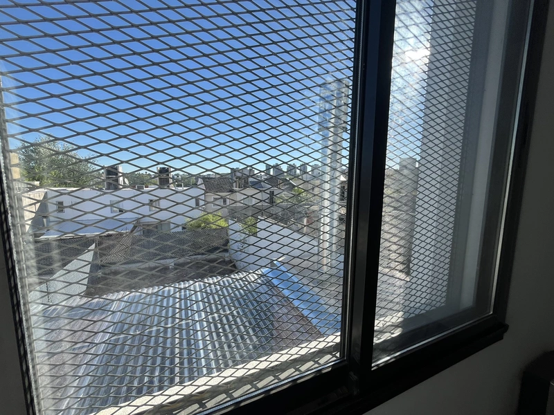 IMG_6403.JPEG