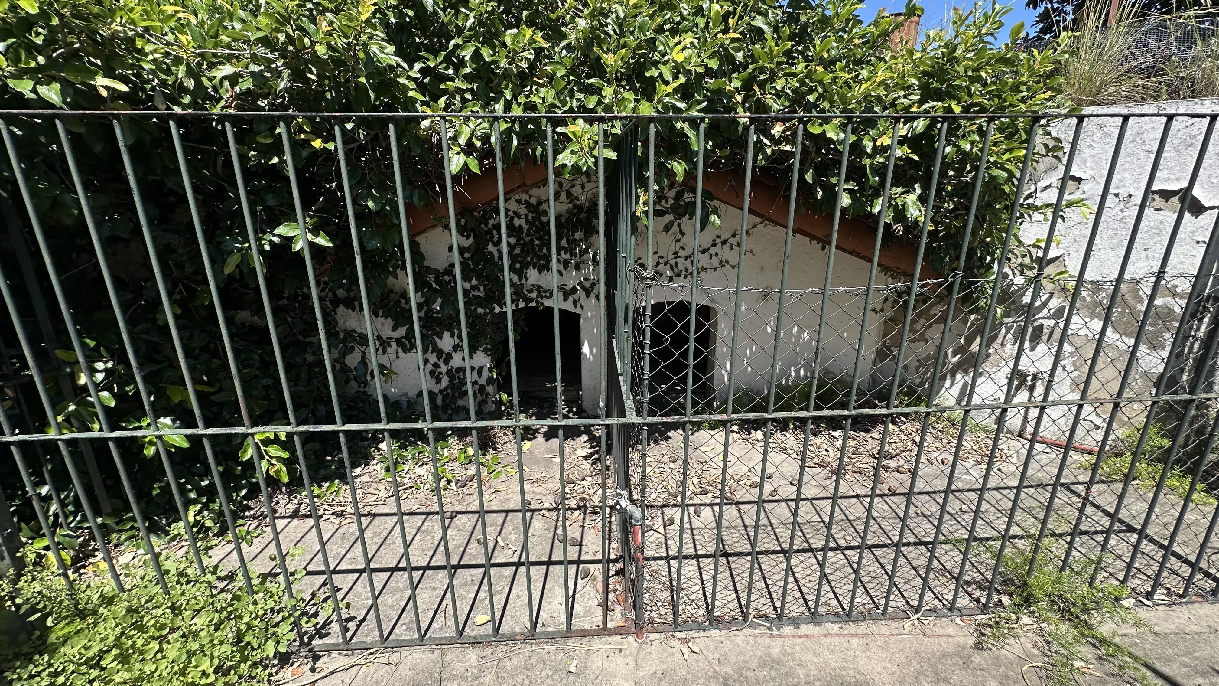 Foto 54