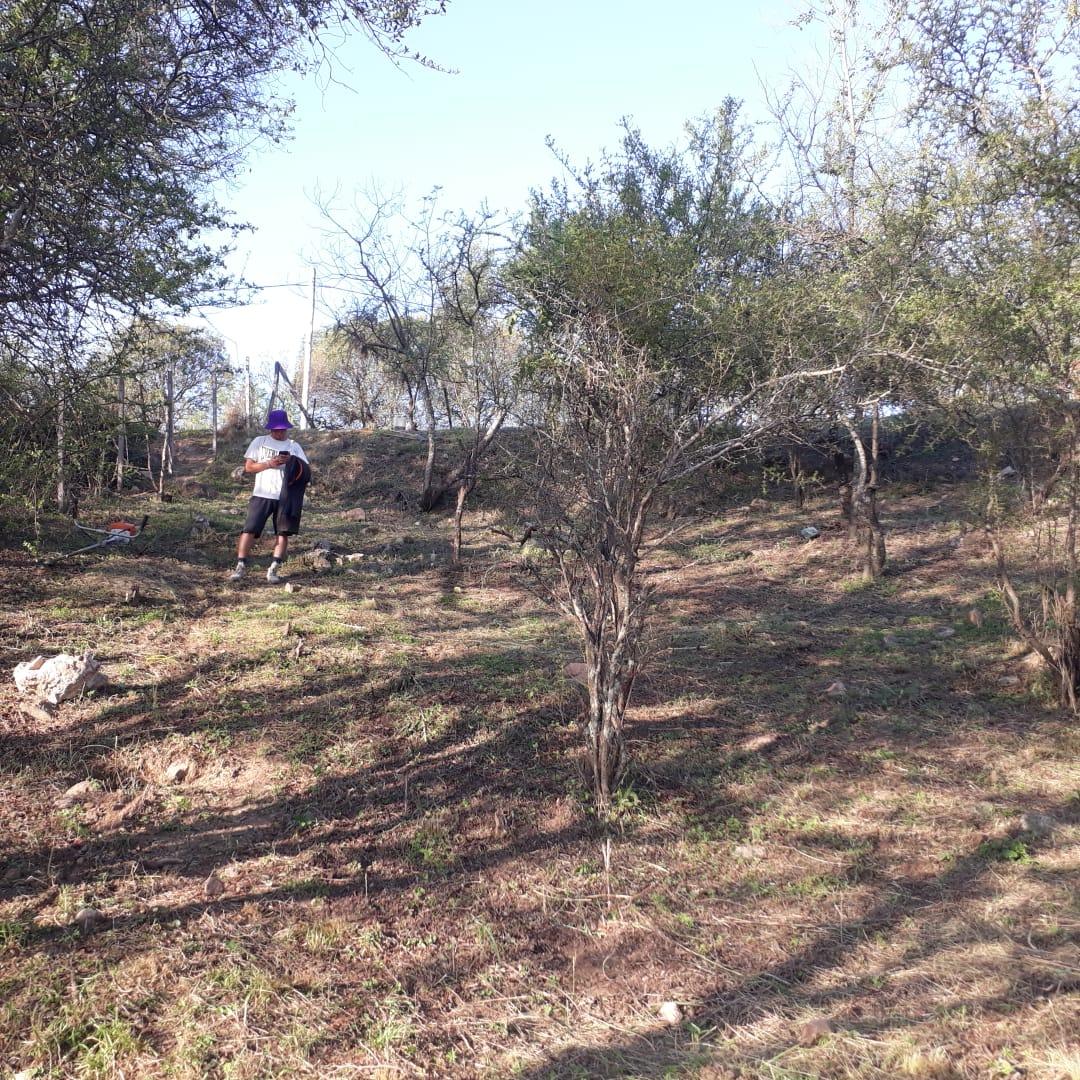 Foto 15