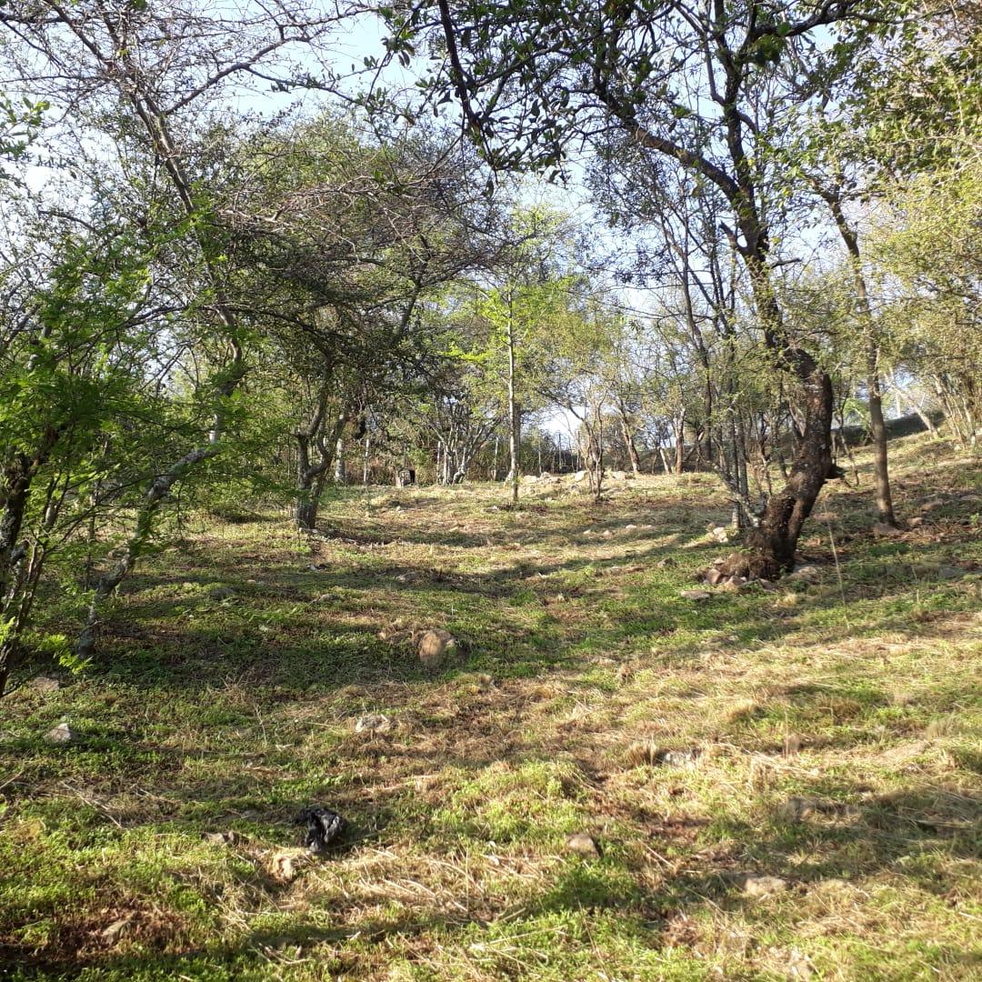 Foto 13