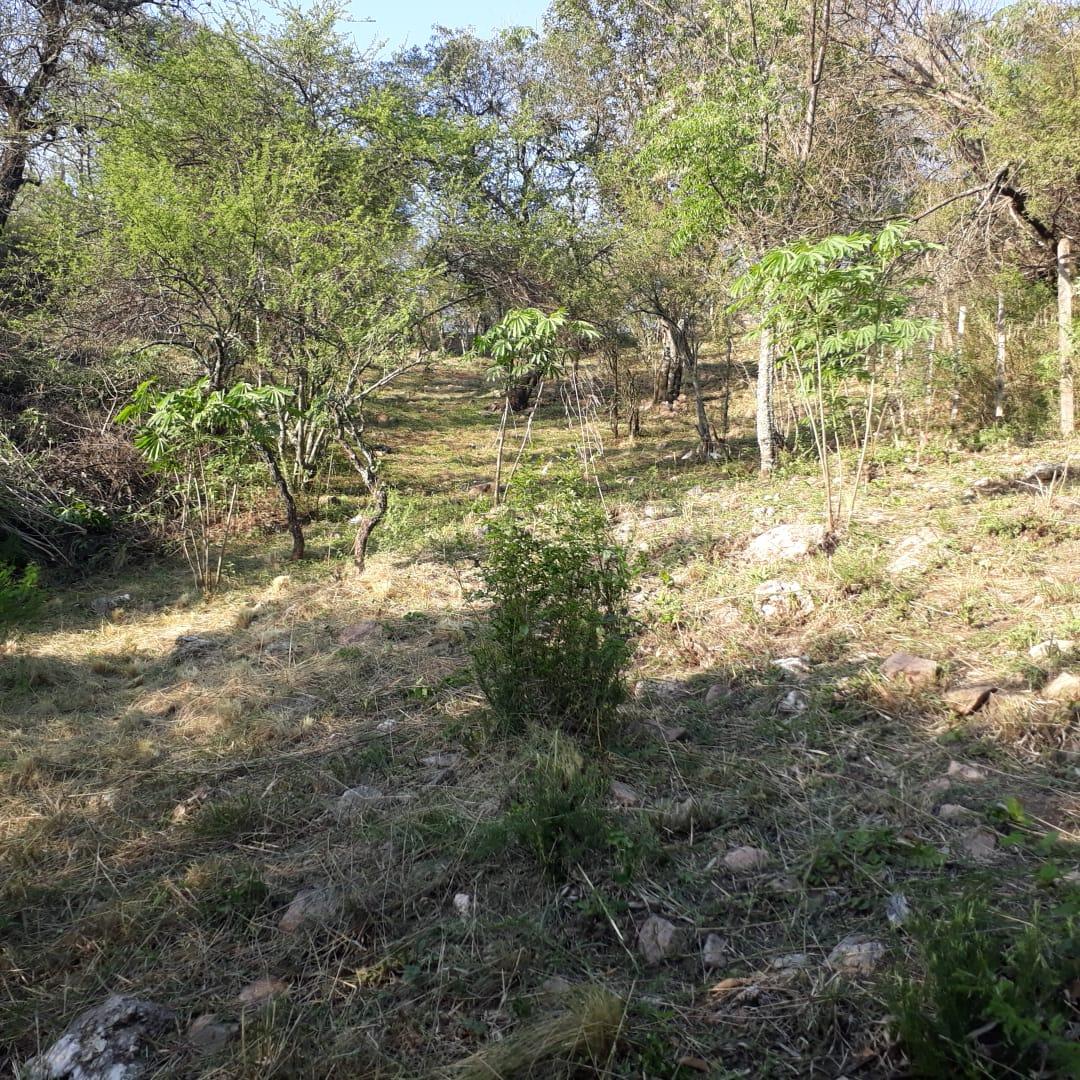Foto 14