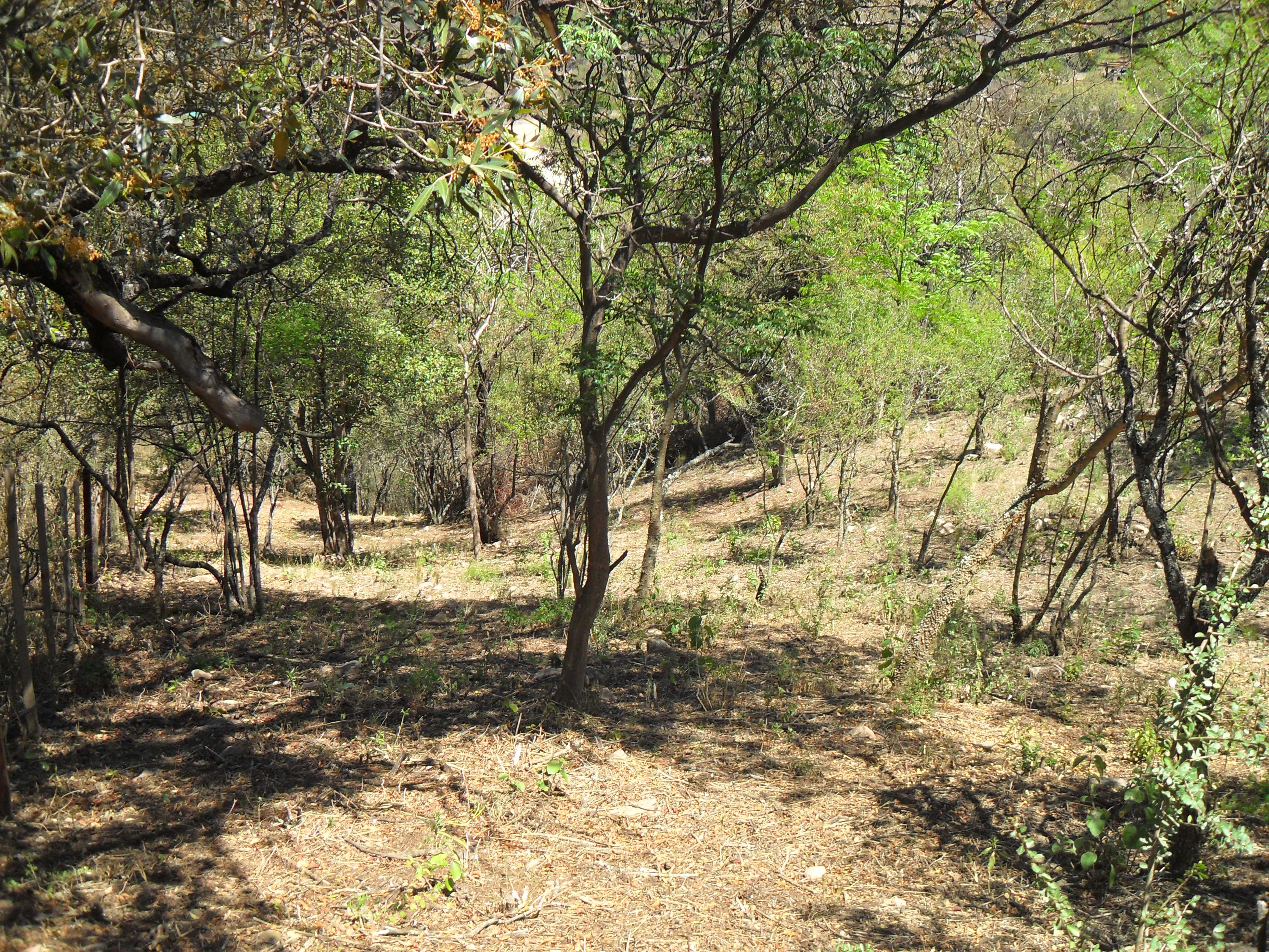 Terreno en venta · Cuesta Blanca, Punilla, Córdoba