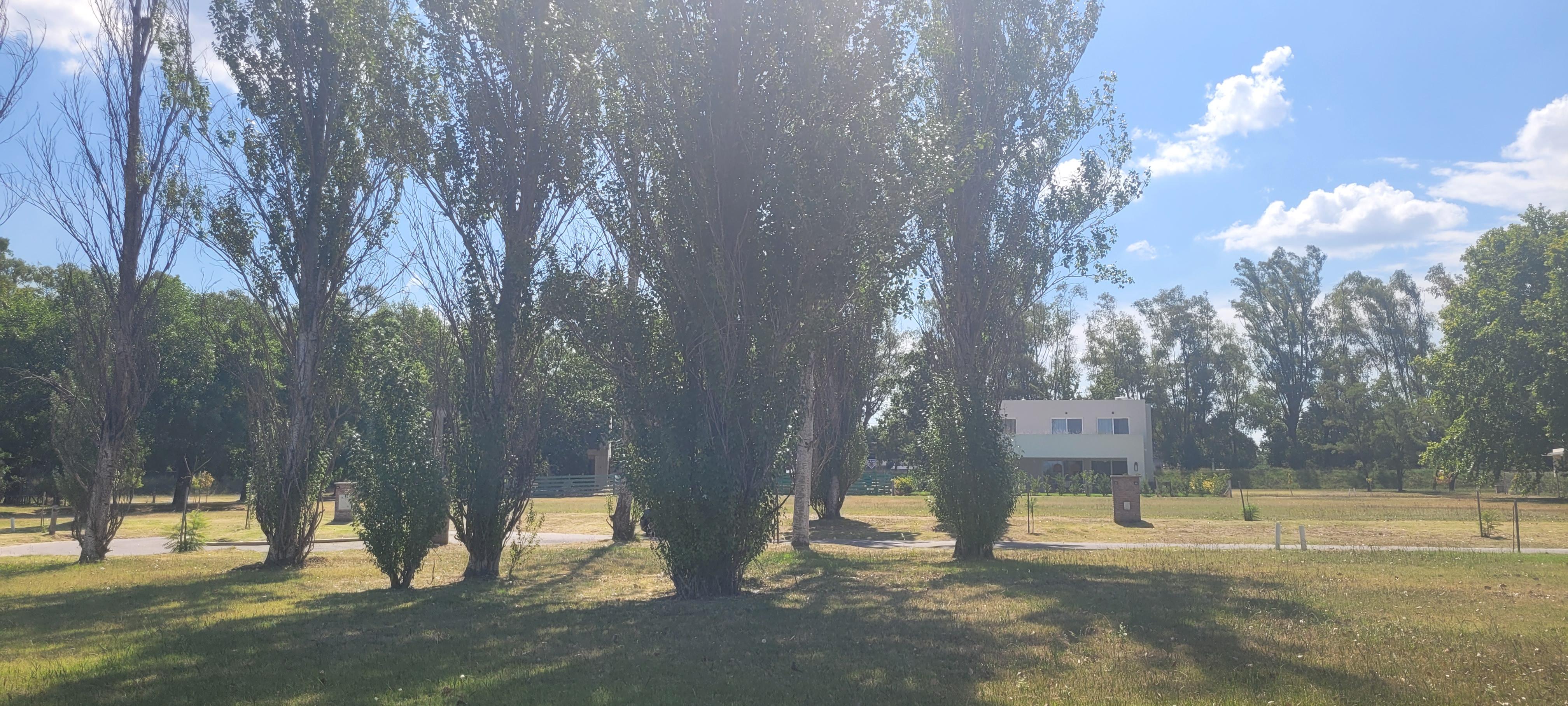 Foto 33