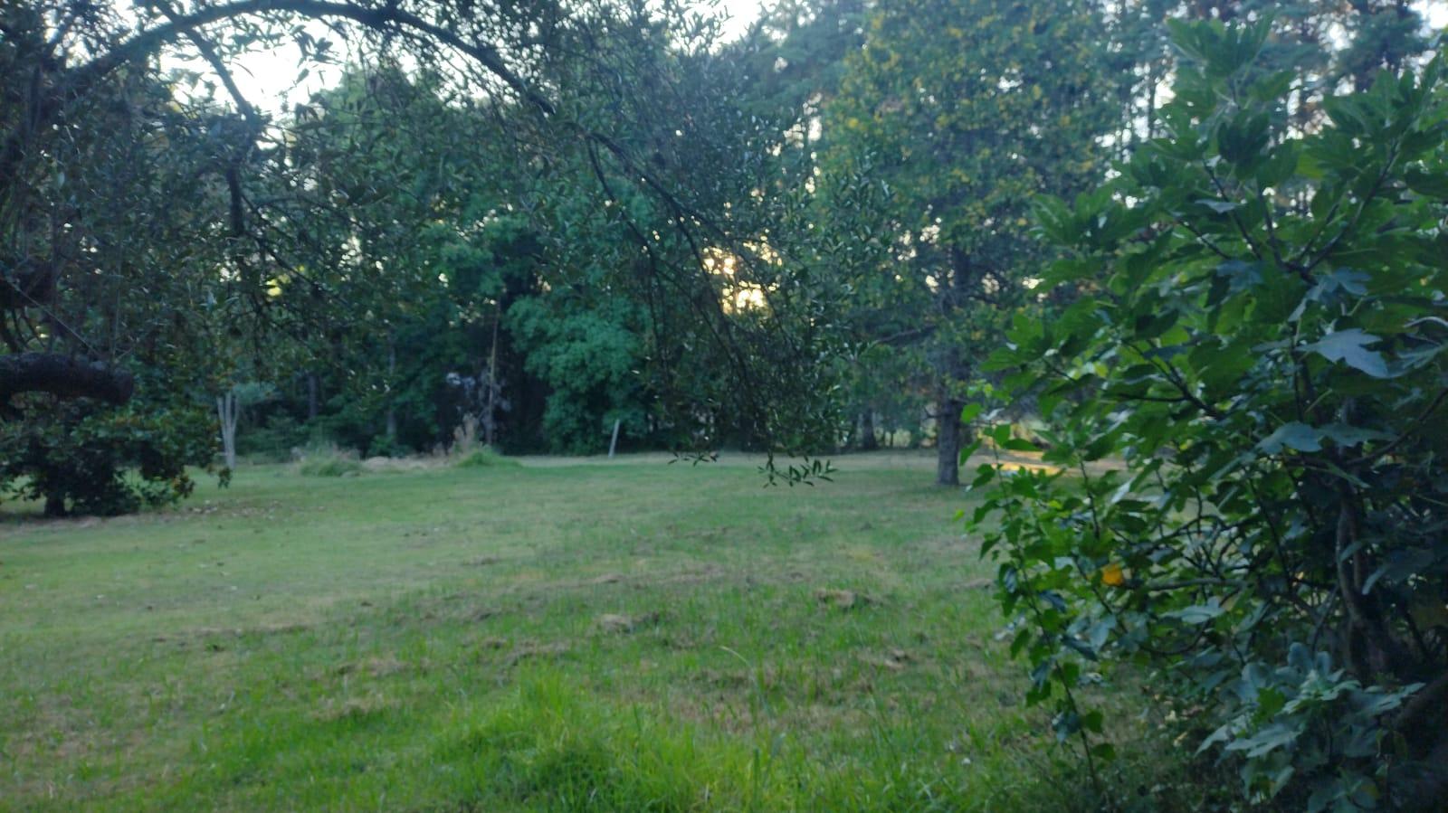 Foto 29