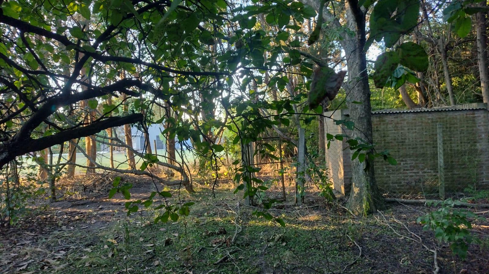 Foto 7