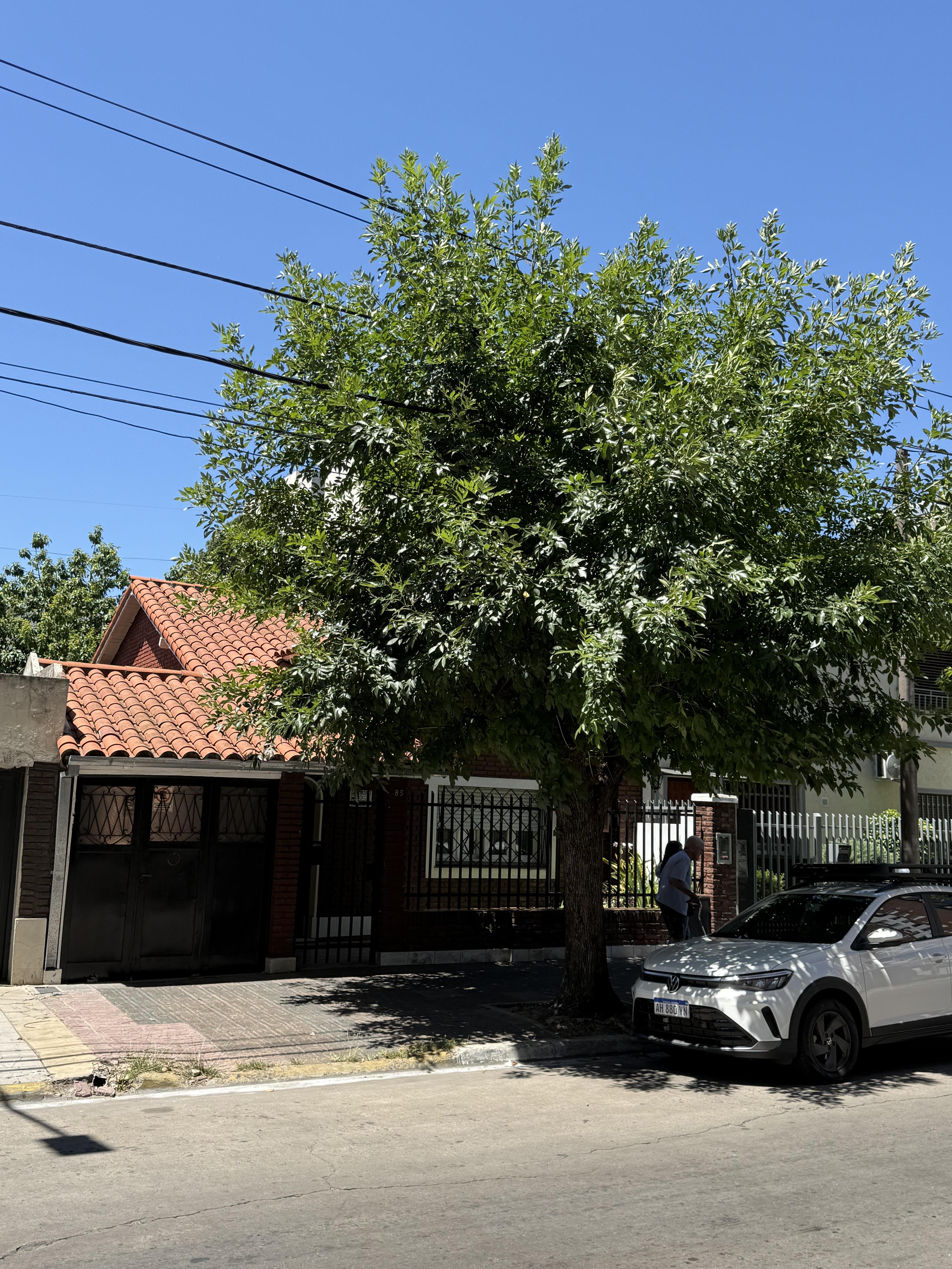 Casa en venta · Ramos Mejia Sur, Ramos Mejia, La Matanza, GBA Oeste, Provincia de Buenos Aires
