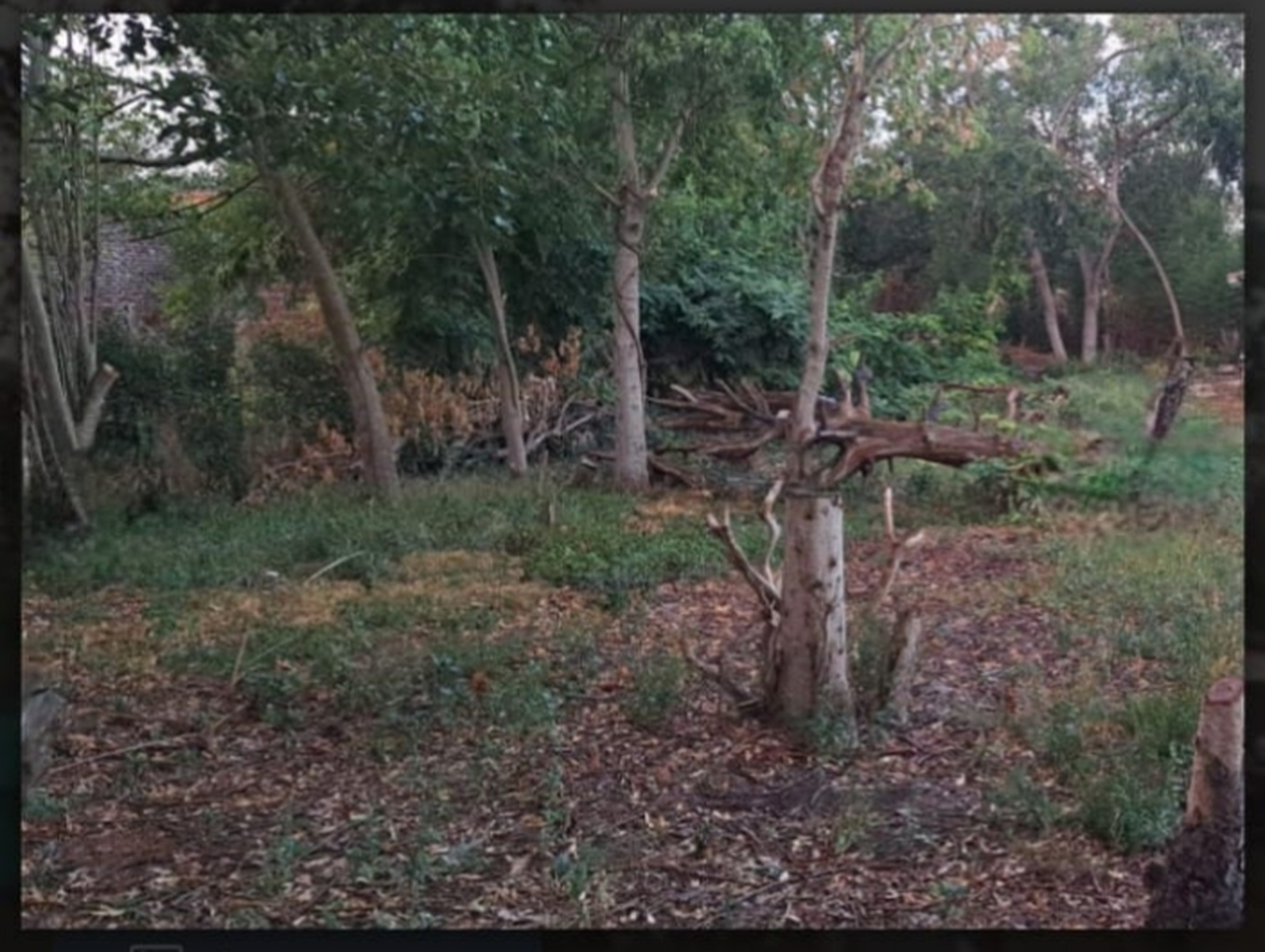 Terreno en venta · Exaltación de la Cruz