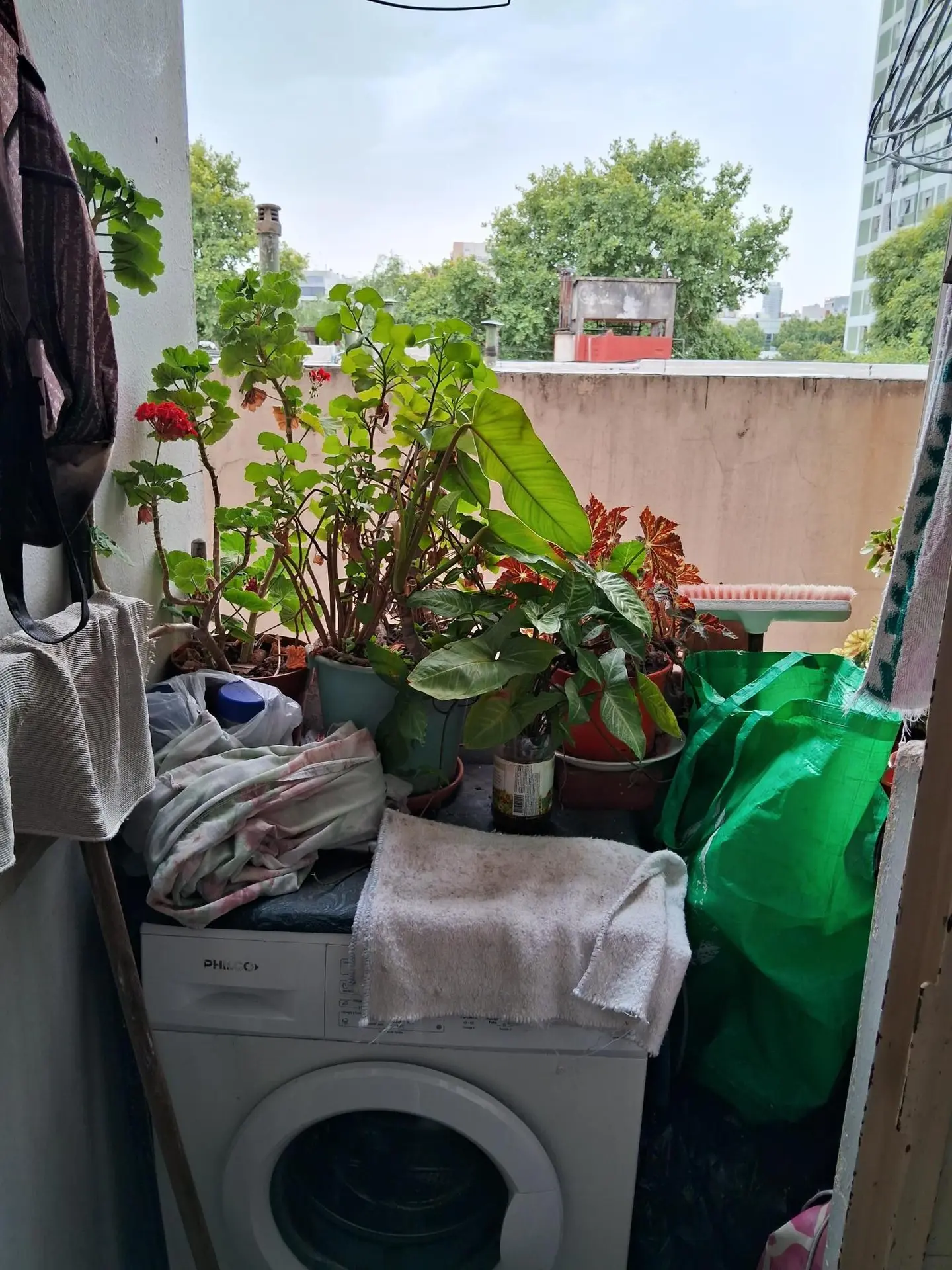 Foto 11