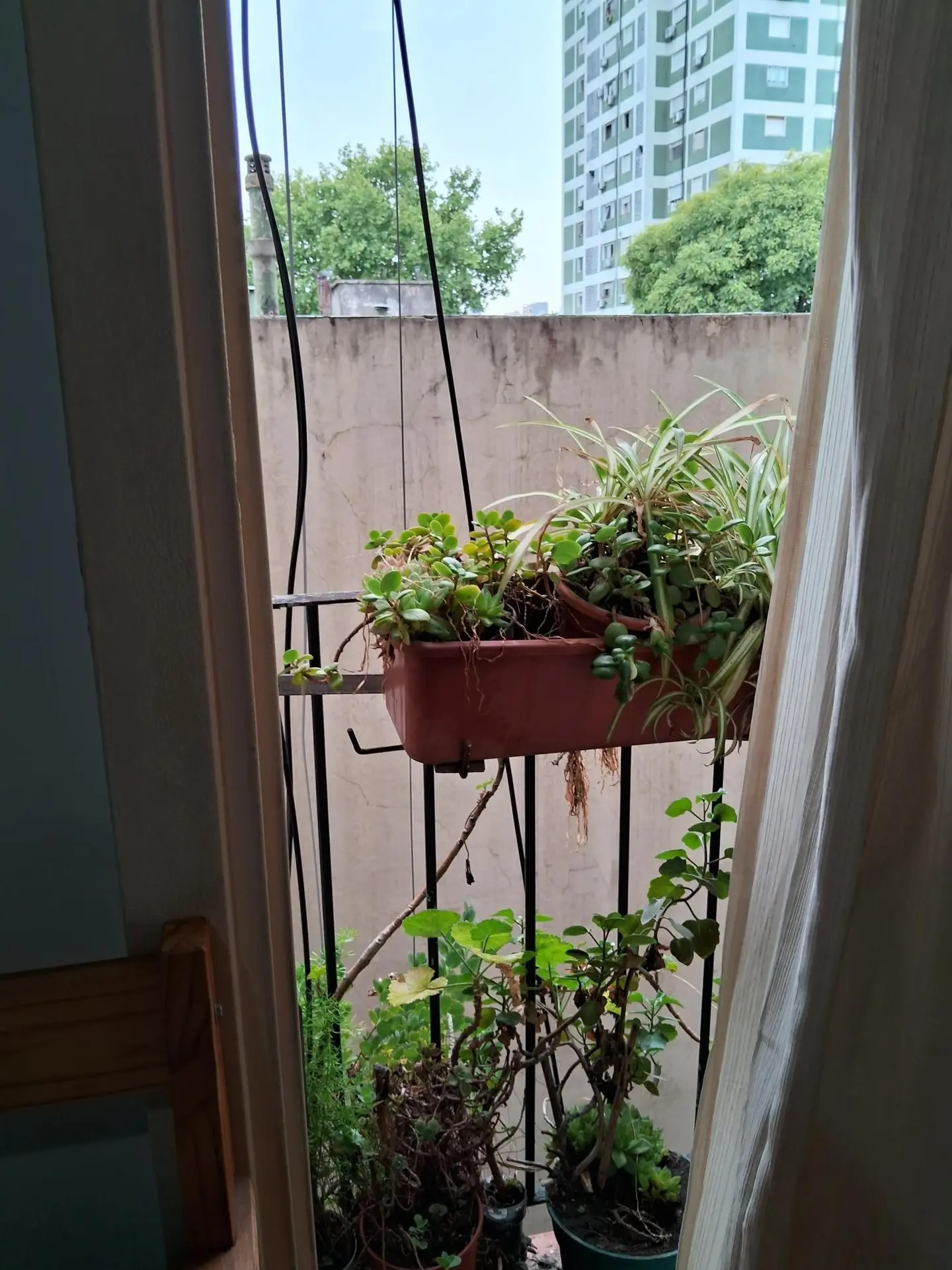 Foto 6