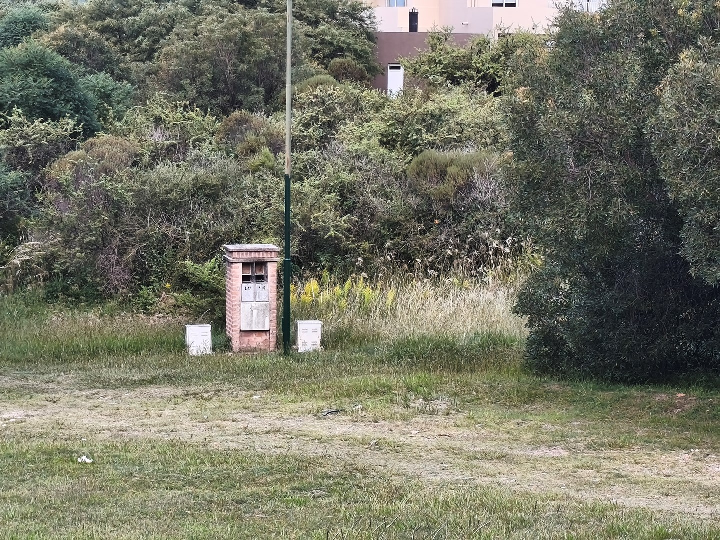 Foto 21